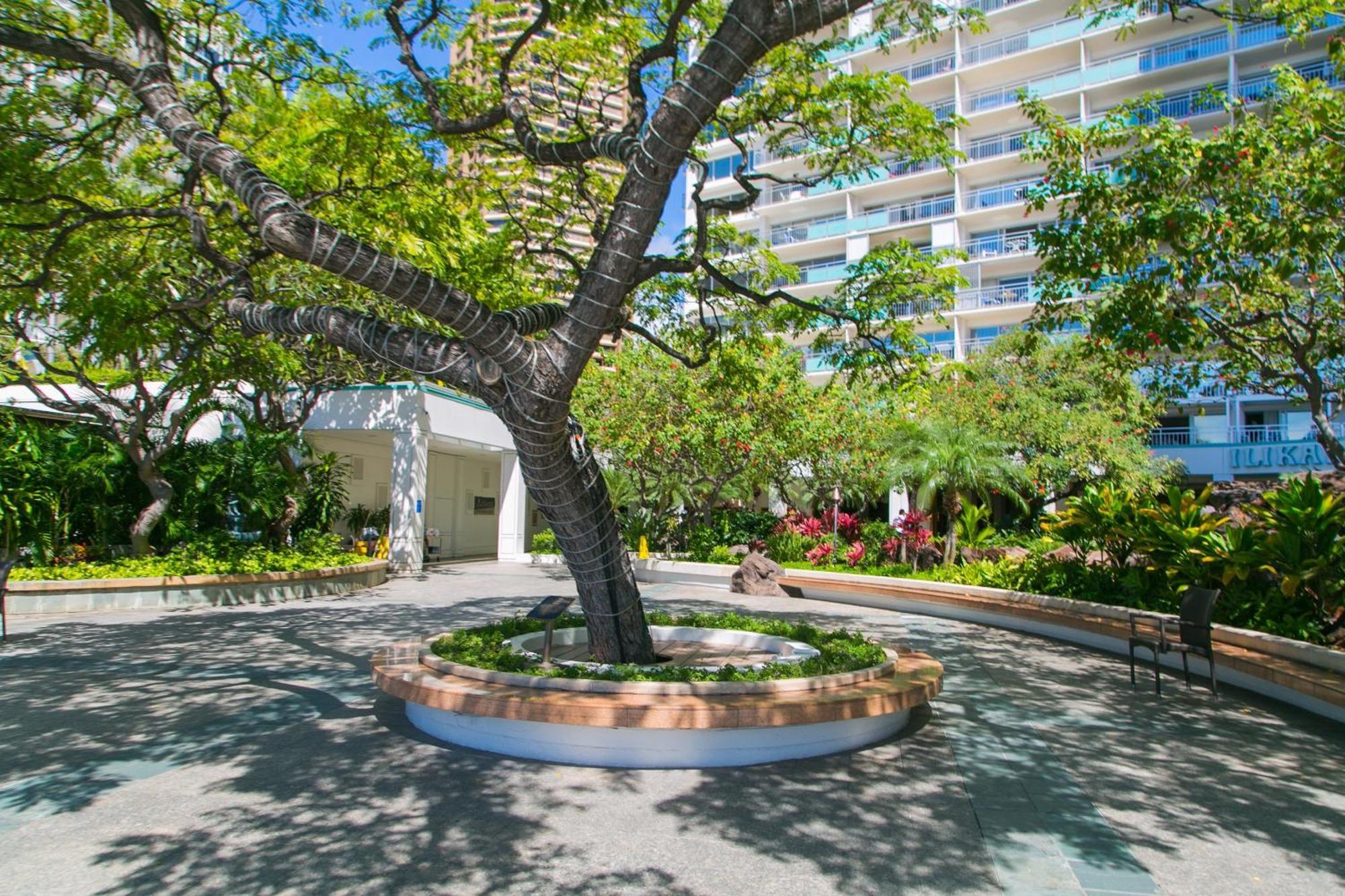 Ilikai Tower 2109 City View 2Br Honolulu Extérieur photo